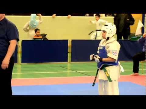 Lipo Lodin Sweden Junior Kyokushin Open Tournament 2013