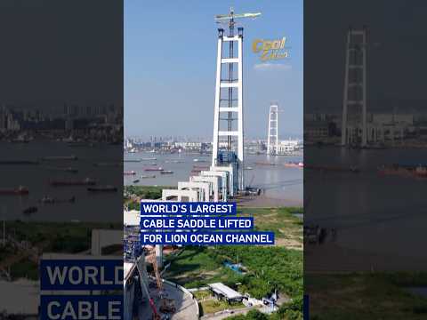 World's largest cable saddle lifted for Lion Ocean Channel#coolchina
