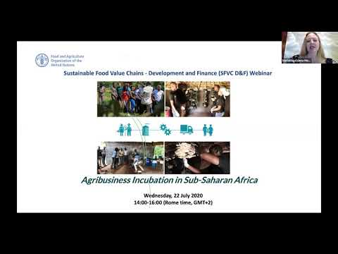 Webinar Recording: Agribusiness Incubation in Sub-Saharan Africa