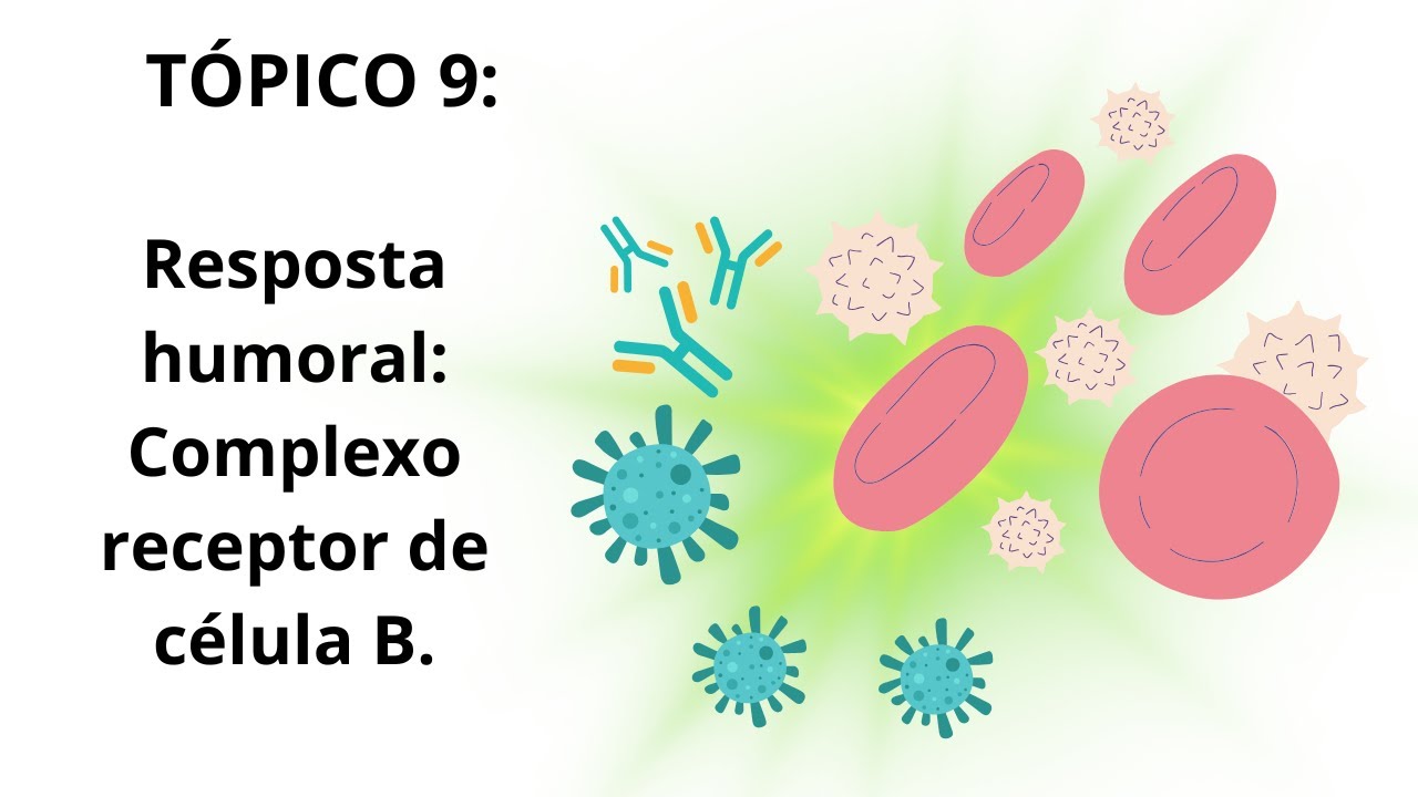 IMUNOLOGIA: Complexo receptor BCR (receptor de célula B)