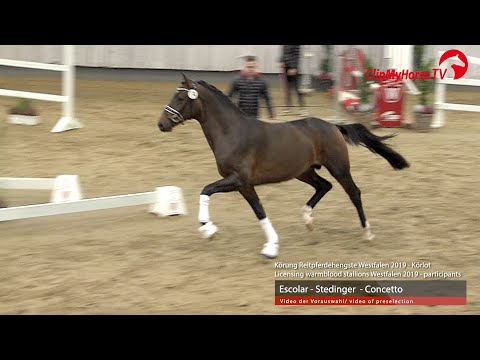 Hengst v. Escolar - Stedinger - Concetto