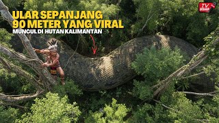 Download lagu Ini Yang Lagi Viral‼️Detik-Detik Kamera Menangkap Sosok Ular Raksasa 90 Meter di Hutan Kalimantan mp3