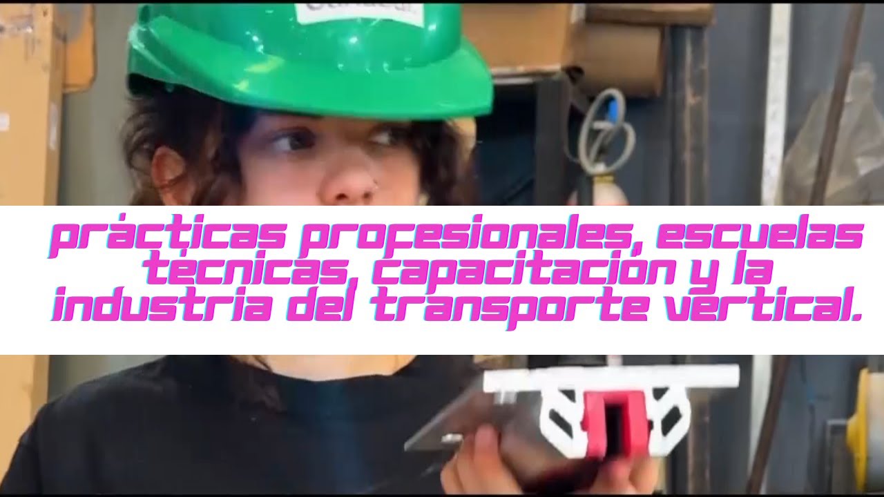 Prácticas Profesionales, Escuelas Técnicas, Capacitación y la Industria del Transporte vertical.