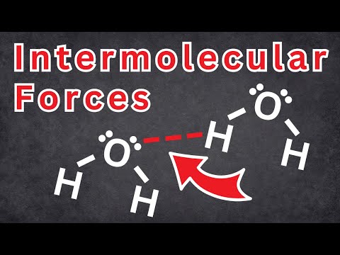 Intermolecular Forces EXPLAINED! | Tadashi Science