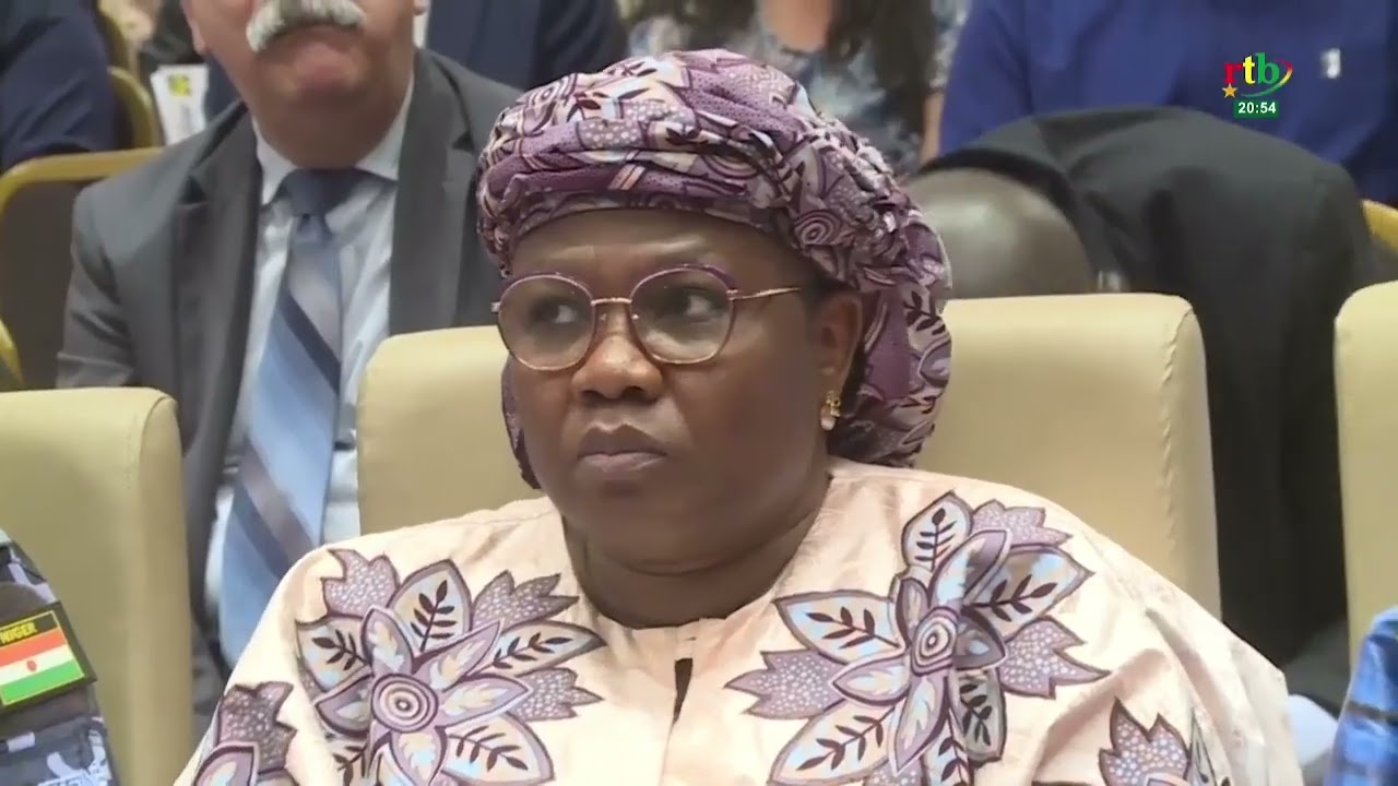 AES Actualités : lancement au Niger des Etats généraux des travaux publics