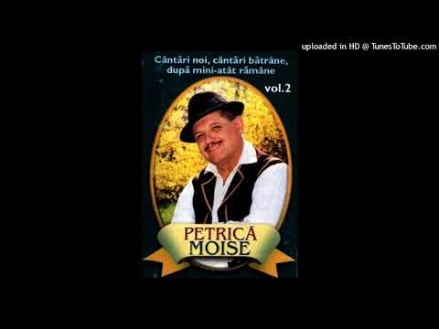 Petrica Moise - Darul ce l-am capatat,m-o facut al mai bogat Audiotim