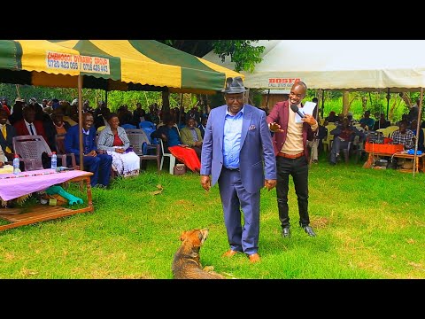 HOW TO DRESS WELL, THIS DOG IS SHOCKED😂😂😂FUNNY MC JONES