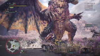 06MHWβ