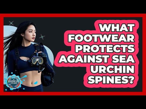 Part of a video titled What Footwear Protects Against Sea Urchin Spines? - YouTube