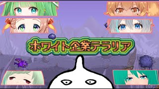 【Terraria】テラリアという世界に初出勤してもらいます。【＃ホワイト企業テラリア】