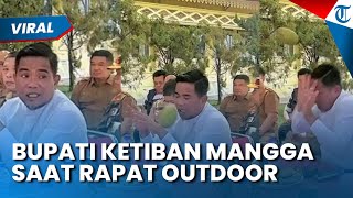 Momen Lucu Bupati Riau Ketiban Mangga Saat! Seluruh ASN Kaget Namun Tertawa setelah Kejadian
