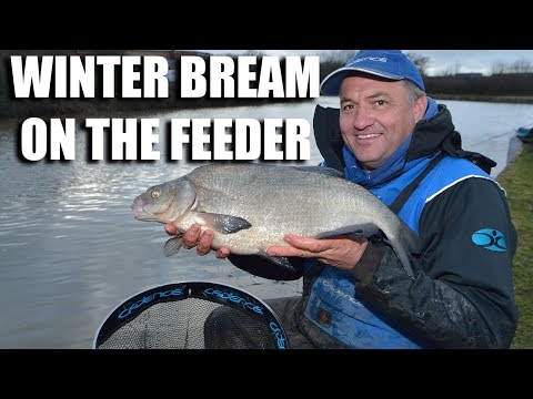 Bream In Winter On The Feeder