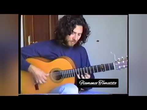 Tomatito falseta por buleria