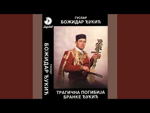 Tragicna pogibija Branke Djukic 2. deo