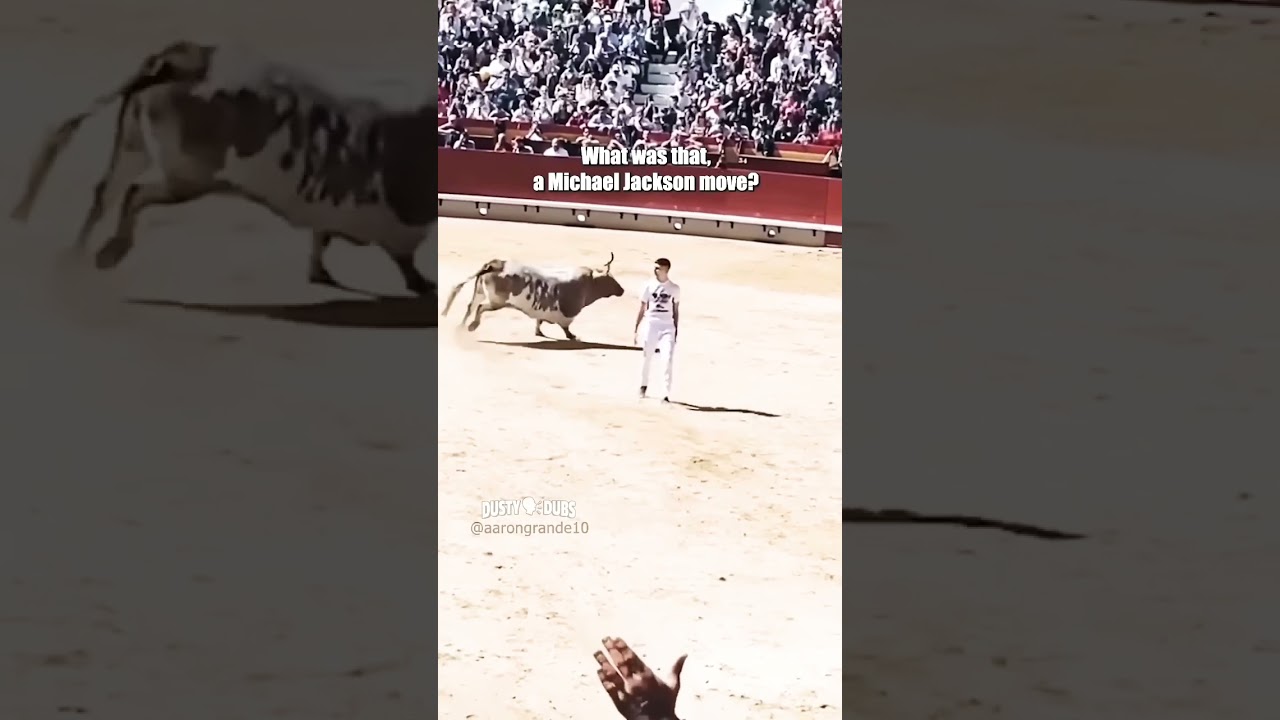This is bull🤣 #funny #bull #comedy #cow #goat #shocking #comedyfilms #memes #ouioui #mehrabreacts