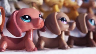 How I Display my LPS!⭐️DIY Display Steps & Stand for Collectors!