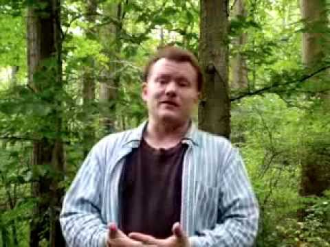 Minarchism: Great Start, Horrible Finish