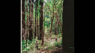 Dejima & Will Rockwell - Camcorder