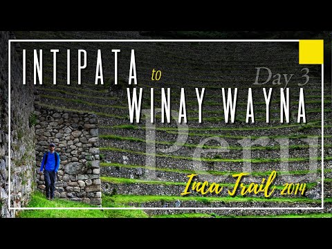 Macchu Picchu: Day 3 - Intipata to Winay Wayna - I Might've Gotten in Trouble This Day