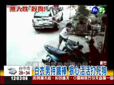 毫無"人性"! 惡男鐵棒打爆狗頭