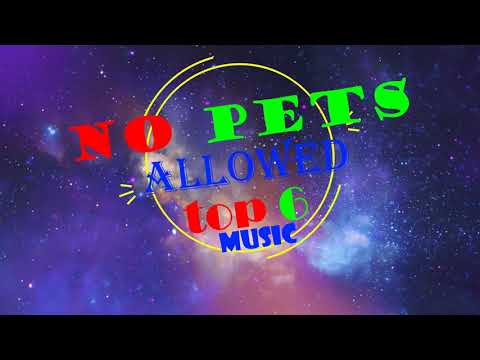 top 6 best music no pets allowed
