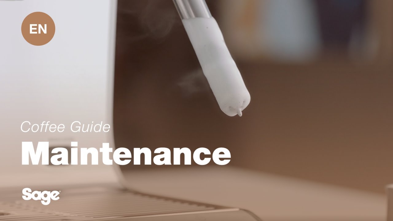 Så här rengör och rensar du ångröret