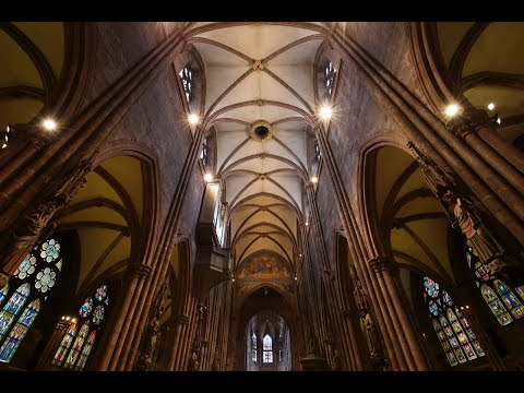 Max Reger: Neun Stücke für Orgel op. 129: 1.Toccata - 2.Fuge - 4.Melodia - 8.Präludium - 9.Fuge