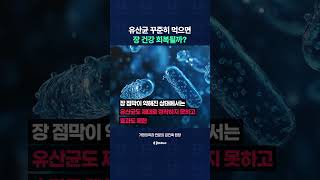 장 건강 회복에 유산균이 효과적일까?