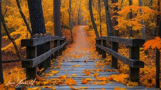 【My Autumn】Красивая расслабляющая музыка 🍁 Снижение стресса под пение птиц в осеннем лесу Европы