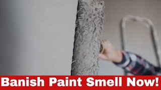 How to Get Rid of Paint Smell - Genius Hacks You Need to Know