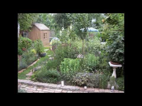 A Year In Our Garden