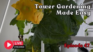 Tower Gardening Made Easy LIVE CAM #towergarden #hydroponicgardening #garden #farm #aeroponic