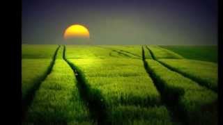 Greenfields by Vassilikos-lyrics