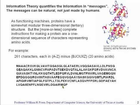 Opinionated Lessons in Statistics: #37 A Few Bits of Information Theory