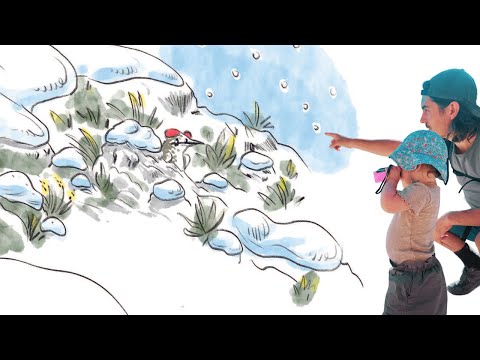 Tilda, l'oiseau des neiges — Crowdfunding sur wemakeit