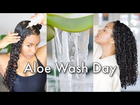 Aloe Vera Curly Hair Wash Routine to Grow, Moisturize...