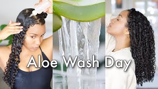 Aloe Vera Curly Hair Wash Routine to Grow, Moisturize & Define Your Curls