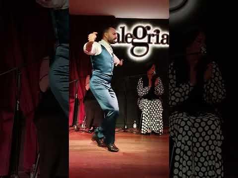 Мужское фламенко в Испании. Малага (Андалузия)