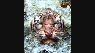 REUBEN WILSON  ...   STONED OUT OF MY MIND   ...