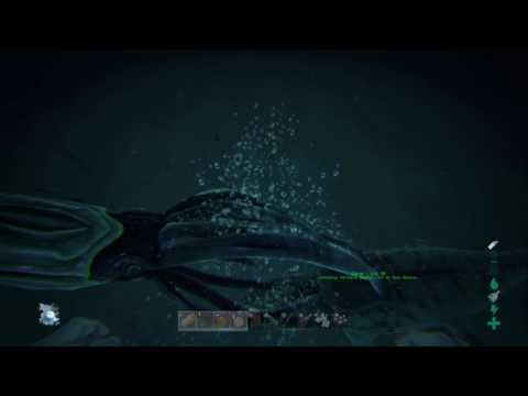 Easy Tusoteuthis/Squid taming without loosing dinos