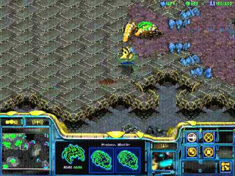 StarCraft Brood War [FPVOD] Rondo VOD 06