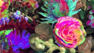 Darkstar - Light Body Clock Starter