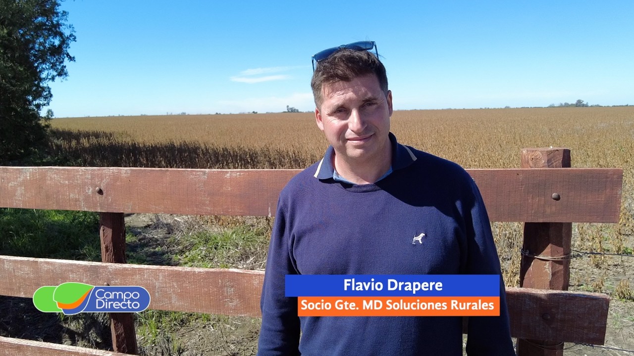 Campo Directo | Crecen las consultas por campos ganaderos en Córdoba