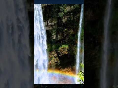 O mistério do avistamento de Onvis em Doverlândia