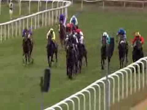 Galopprennbahn Dresden - 22.11.2013 - 6.Rennen