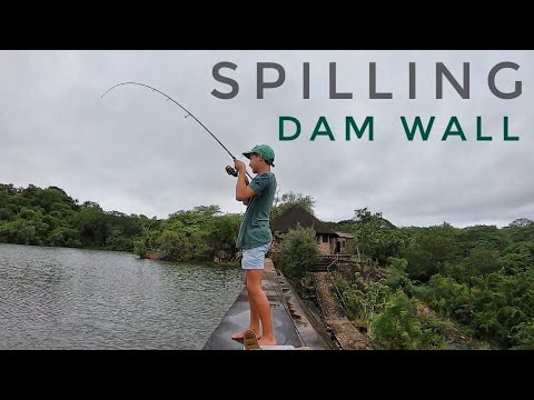 Catching Big Bream (Tilapia/Kurper) and Tiger Fish off the Spilling Dam Wall!