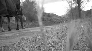 but i guess it comes down to a simple choice, really.