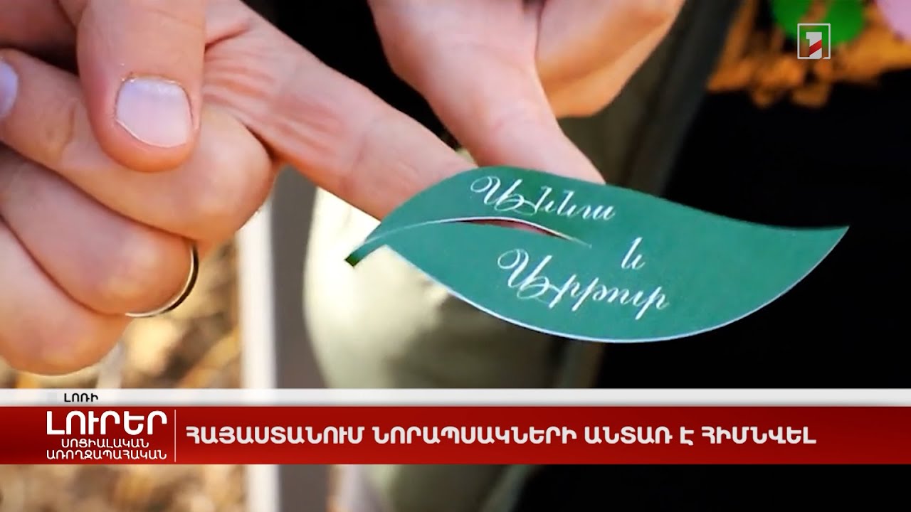 Հայաստանում նորապսակների անտառ է հիմնվել