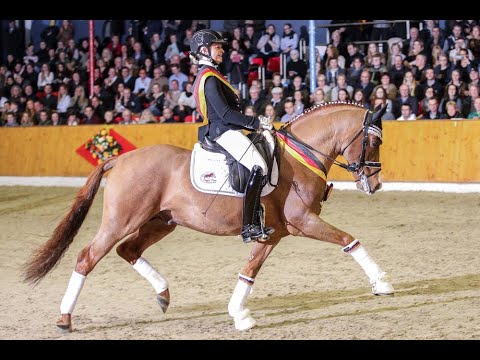 Cosmo Royale *2014 by Cosmopolitan - Casino Royale (Sosath Stallion Show 2019)
