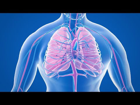 What is a Pulmonary Embolism?